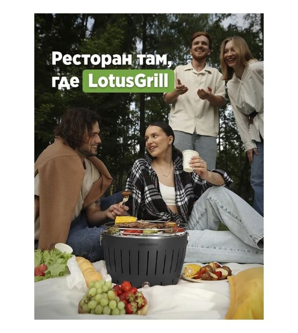 Бездымный угольный гриль барбекю Lotus Grill Classic 35 см серый антрацит 